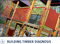 Building timber diagnosis